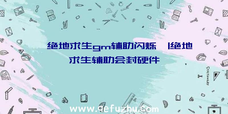 「绝地求生gm辅助闪烁」|绝地求生辅助会封硬件